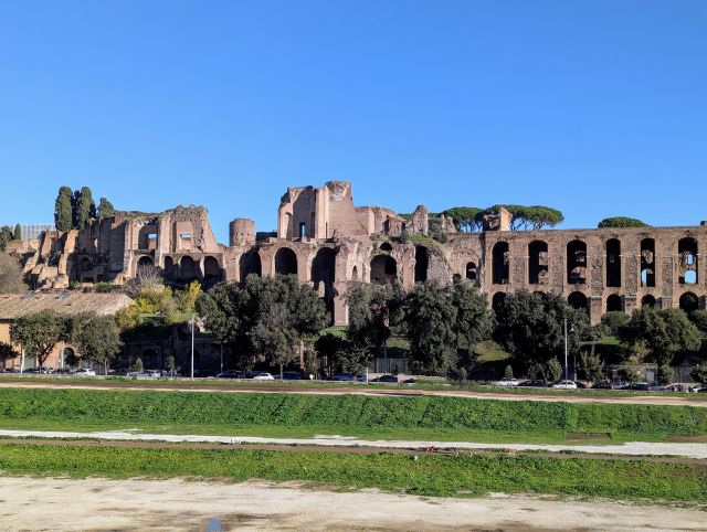 The Palatine Hill in Rome, Italy, featuring the ruins of ancient Roman palaces and other structures, with trees and vegetation of Circus Maximus, under a clear blue sky.