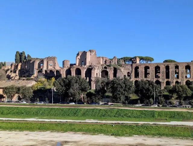 Smuk udsigt over Forum Romanum og Palatinerhøjen i Rom under en privat guidet tur på dansk.